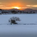 선들농장 이미지