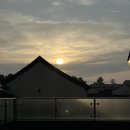 전식농장 | [3/8-10] 3월의 제주 여행 일상 day2