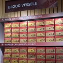 호주면세점 | 호주 시드니 8월 날씨/자유여행 경비/ &lt;호주 시드니 면세점&gt; 후기까지 전부 털어봄!