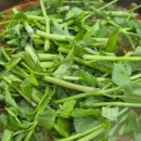 엄지민물매운탕 이미지