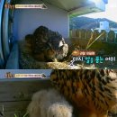 이소농장 이미지