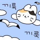 뚱보수산 이미지