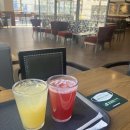 미모사패션 이미지