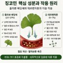 유한케미칼 | 징코민 효능 추천 복용법 성분 부작용 가격 정리