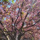 올레길 도심형 2코스 이미지