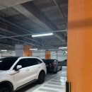 B&R휘트니스 | [내돈내산] 롯데호텔부산 호텔수영장 이용후기(솔직후기) 밤수영 추천!