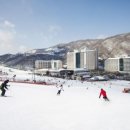 비발디파크
