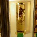 인삼전시관 이미지