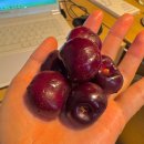 계림상회 | 0718-0721 너의 모든 발걸음이 다 별빛일 거야