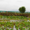 삼락강변공원 이미지