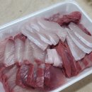 수산시장막썰어횟집