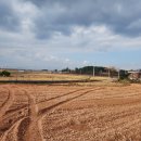 미암면사무소 이미지