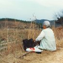 이 세상에서 가장 아름답다고 생각하는 영어단어는? 이미지
