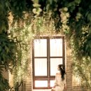 엠스튜디오