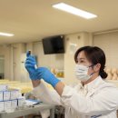 와이에스 이미지