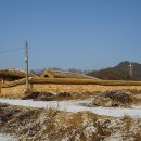 제천 정원태 가옥(鄭原泰 家屋) - 중요민속자료 제148호