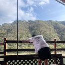 휴토피아 빌리지 | 홍천 휴토피아 글램핑, 가온휴양빌리지 수타사 생태숲공원 맛집까지