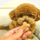 수제쌀 간식 만들기 이미지