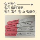 새명약국 | 얼리 임테기 사용시기로 임신소식 빠르게 확인하는 법
