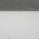 금강렌트카 이미지