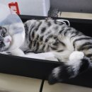 양구동물병원 이미지