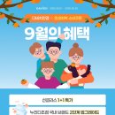 다비치안경콘택트 이미지