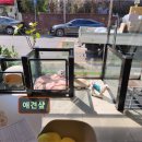 오로라 애견미용샾 | 대구 애견미용 반려동물 추천 정보 리뷰 애견샾 편안한 맞춤 케어 경험