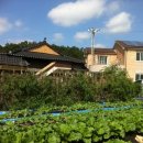 진성 마을회관 이미지