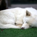 건원농장 이미지