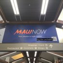 하와이마트 | [하와이 8박 10일 신혼여행 일정] Day 3. 오하우섬➡️마우이섬 (카훌루이 공항, 코스트호텔, 할레아칼라...