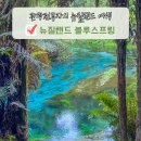 뉴질랜드 타우포 로토루아 근교 블루스프링 트레킹 후기 가는법 주차 팁