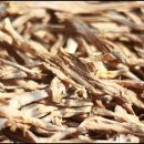 속초생생젓갈, 속초생생건어물 이미지