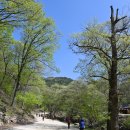 백일지물장식 | 천년 불심길 따라가는 순천 조계산(曹溪山)