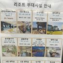 봄그리고가을리조트 | [제주도 태교여행]봄그리고가을 리조트 내돈내산 숙박 후기(feat A동 4층 디럭스 더블룸 오션뷰 짱!!)