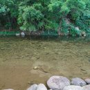 소백산 별빛감성 캠핑장 이미지