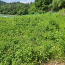 계촌농장 이미지