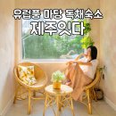 마음을잇다 | 제주도 한경면 마당 독채숙소 제주잇다 자쿠지