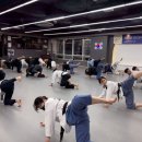 국가대표 효 태권도 이미지