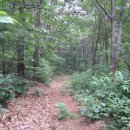 가재골산장 이미지