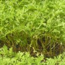 정인농장 이미지