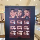 알로롯데미아점 이미지