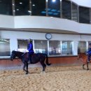 대덕승마장 이미지