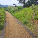 월광수변공원 이미지