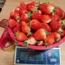 김상균 농장 이미지