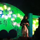 유지나- 서울 송천동 은행나무 축제 공연사진 이미지