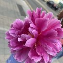 황경하한의원 네이버블로그