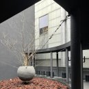 압구정 준지펠트 도산공원점 방문후기