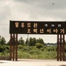 오백년이야기 이미지