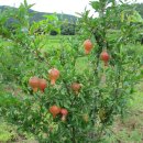 범은농장 이미지