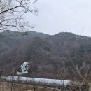 무주펜션 꿈꾸는 나무별 이미지